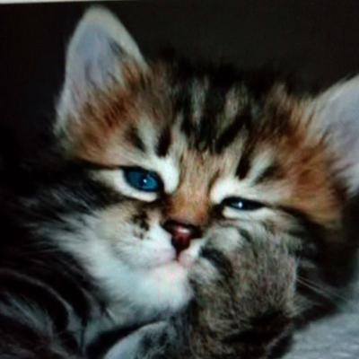 lunacharskii@defcon.social