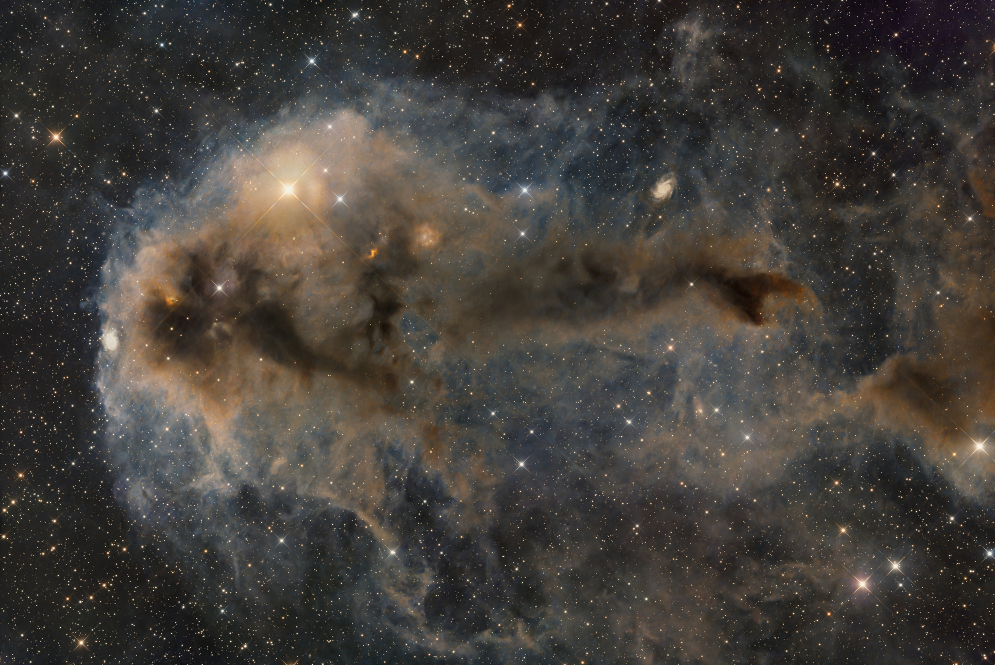 2025 July 10

Lynds Dark Nebula 1251
 * Image Credit & Copyright: Cristiano Gualco

Explanation: 
Stars are forming in Lynds Dark Nebula (LDN) 1251. About 1,000 light-years away and drifting above the plane of our Milky Way galaxy, LDN 1251 is also less appetizingly known as "The Rotten Fish Nebula." The dusty molecular cloud is part of a complex of dark nebulae mapped toward the Cepheus flare region. Across the spectrum, astronomical explorations of the obscuring interstellar clouds reveal energetic shocks and outflows associated with newborn stars, including the telltale reddish glow from scattered Herbig-Haro objects hiding in the image. Distant background galaxies also lurk in the scene, almost buried behind the dusty expanse. This alluring telescopic frame spans almost three full moons on the sky. That corresponds to over 25 light-years at the estimated distance of LDN 1251. 

Authors & editors: Robert Nemiroff (MTU) & Jerry Bonnell (UMCP)
NASA Official: Amber Straughn Specific rights apply.
NASA Web Privacy, Accessibility, Notices;
A service of: ASD at NASA / GSFC,
NASA Science Activation
& Michigan Tech. U.